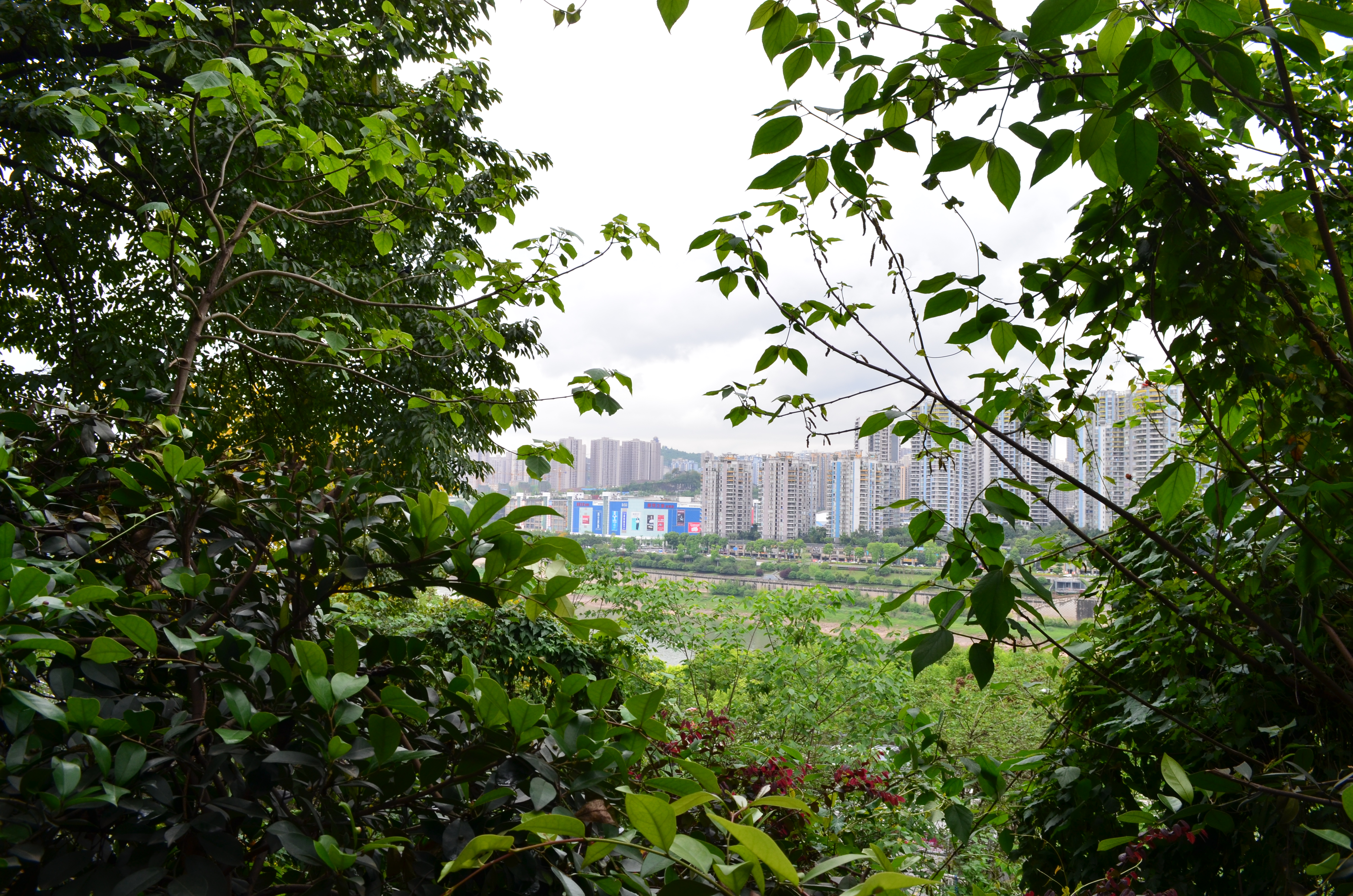 ./2018/03 - Viking China/15 - Chongqing/DSC_0768.JPG